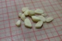 20140707172206e77s