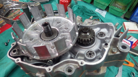IMGP7835