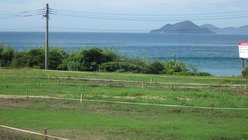 IMGP7155