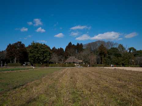 P1090612