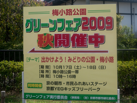 20091018-P1040783