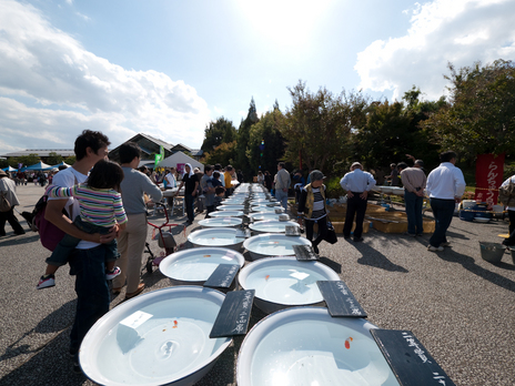 20091018-P1040868
