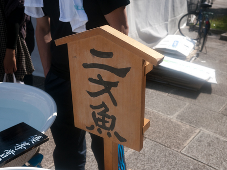 20091018-P1040864