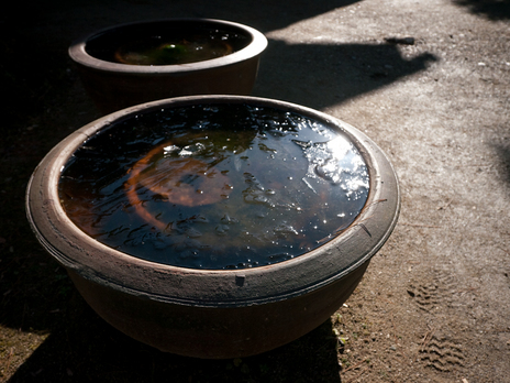 P1090605
