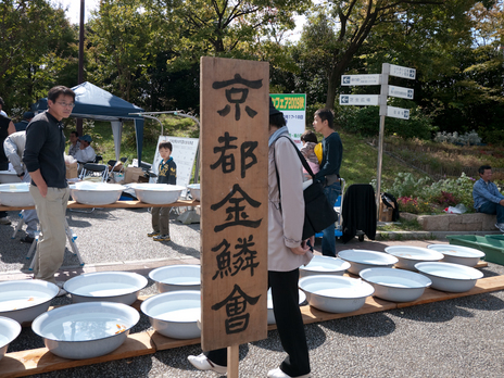 20091018-P1040791