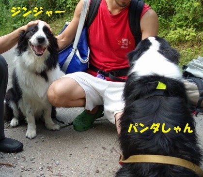 DSC08957 (1)-1 (1)-1