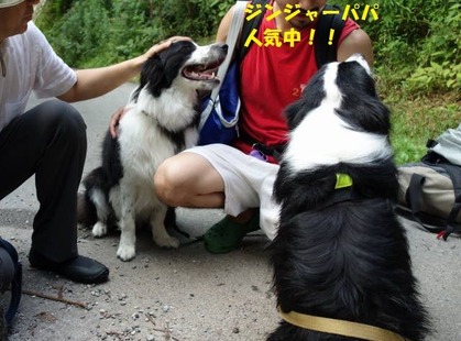 DSC08956 (1)-1