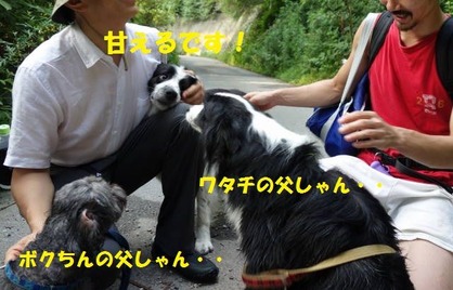 DSC08951 (1)-1