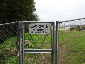 7-6-山の辺の道