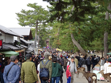 7-12-奈良公園