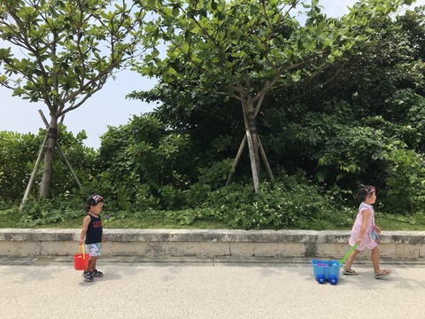 187C3F51-A315-4D33-A33C-C2F65893227C