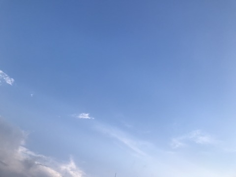 4655D178-9089-4E0B-A8FC-FF84F57E74E8