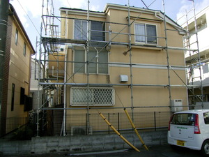 RIMG0551
