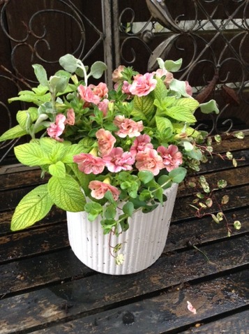 S*Office garden