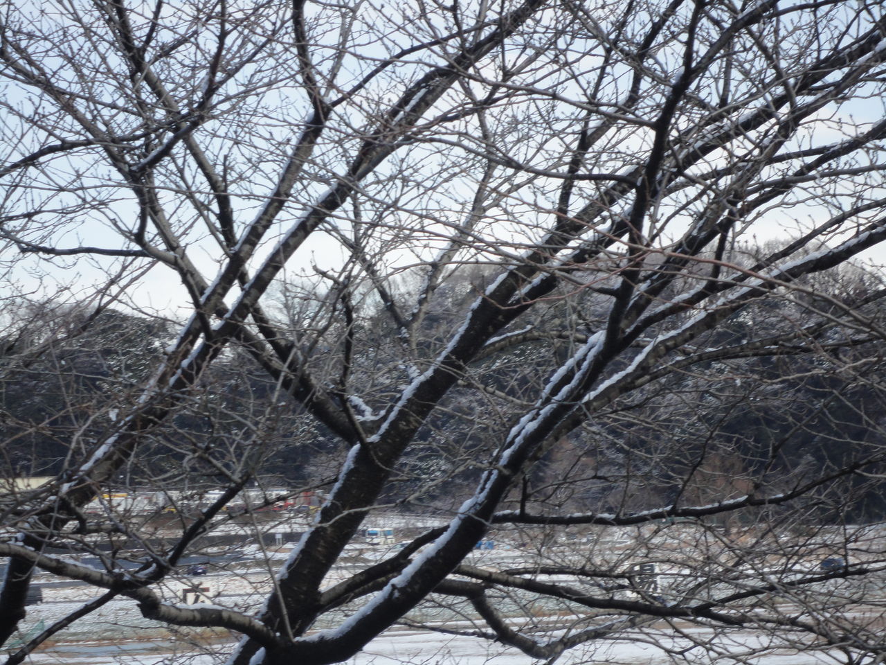 2012_0124_114844-DSC03478