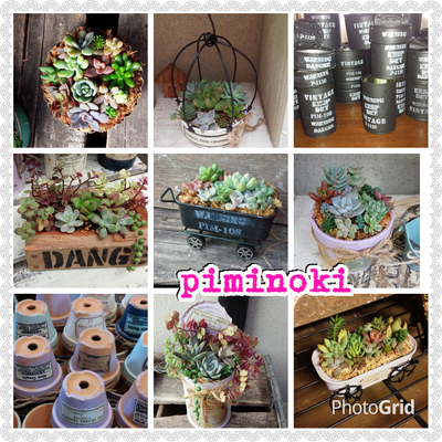 piminoki