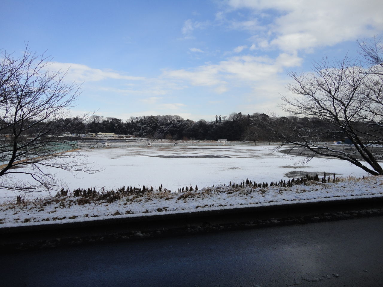 2012_0124_114820-DSC03477