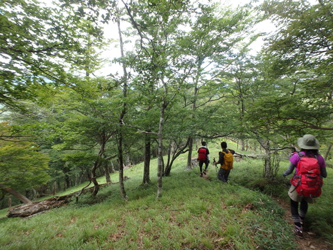 P7140255