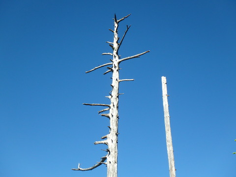 P7140192