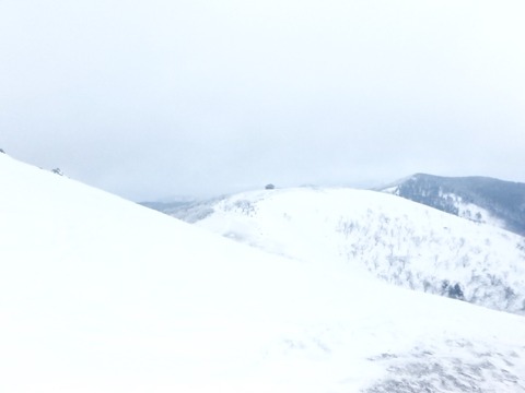 2017-01-22-12-49-40