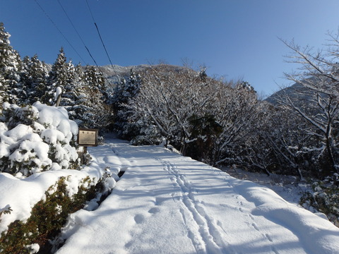 PC150280