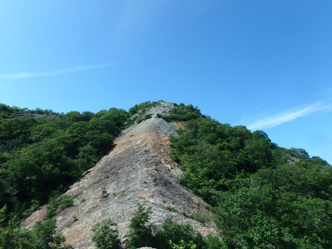 P6210077