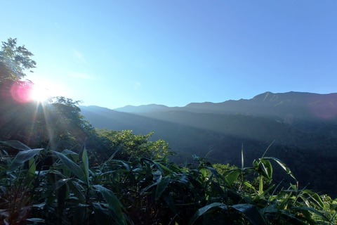 P8020019