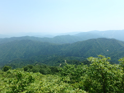 P5300014