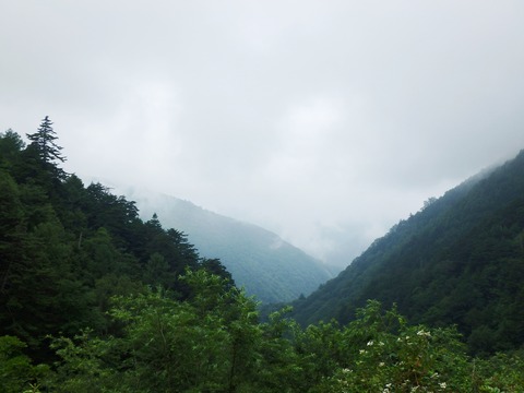 P7250213