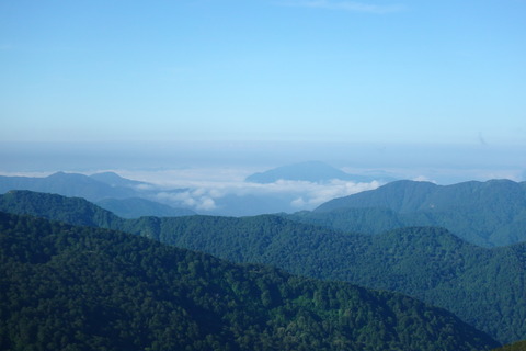 P8020034