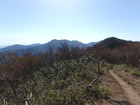 PA210037