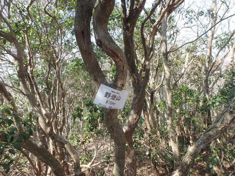 P3260041