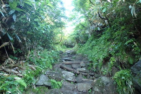 P8020026