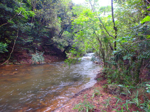 P6250104