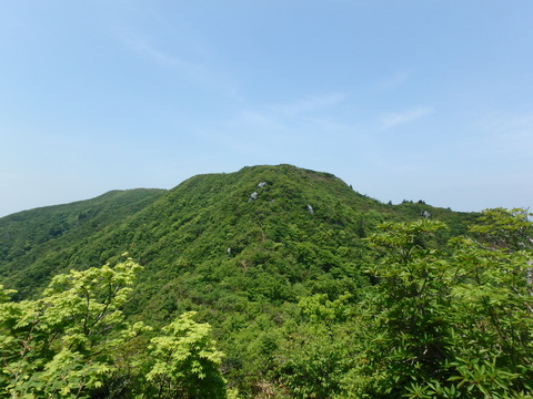 P5300024