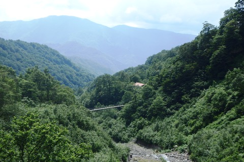 P8020202