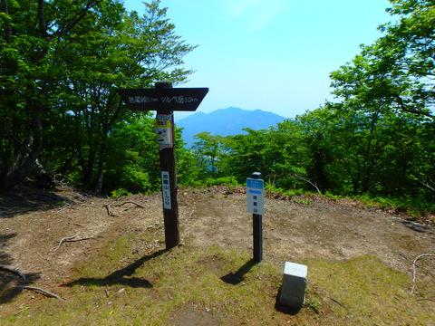 P5220048