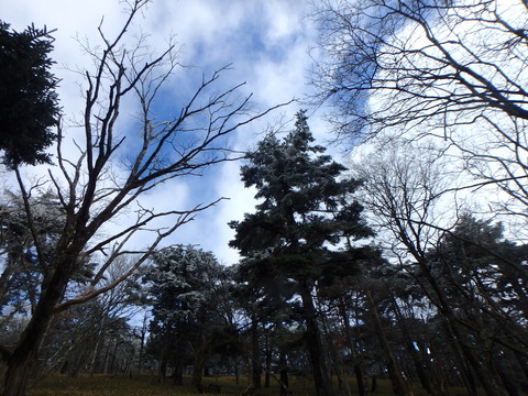 PB090179