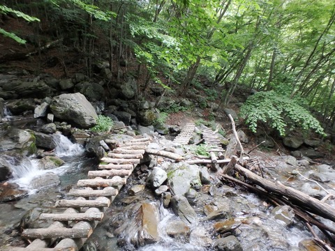 P7250202