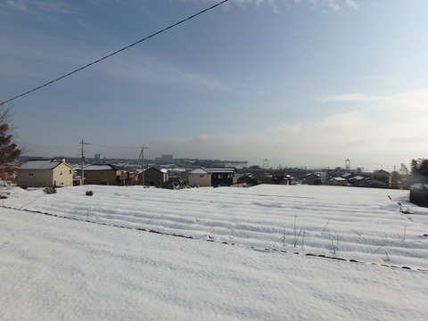 P1290001