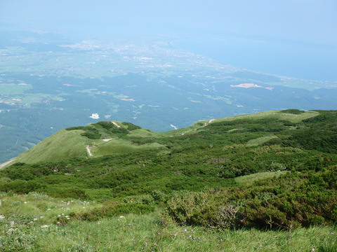 P7290121