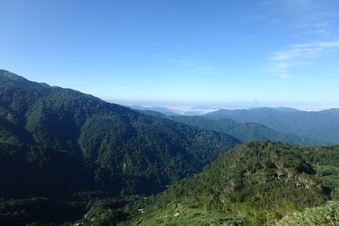 P8020033