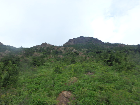 P7020058