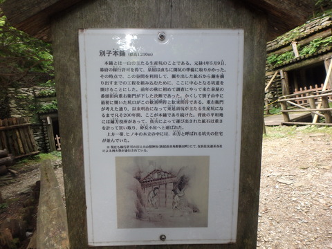 P7030165