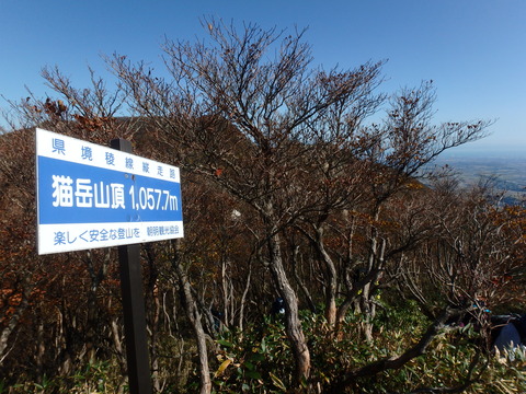 PA210043