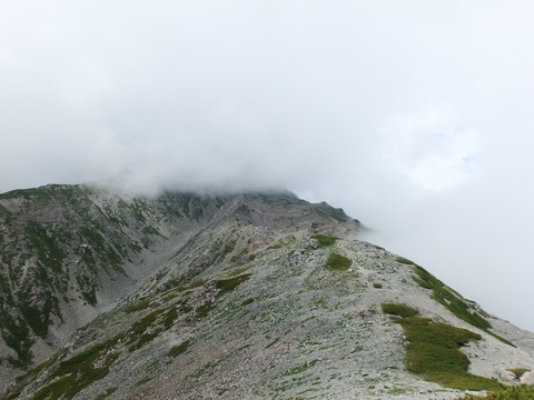 P7260274