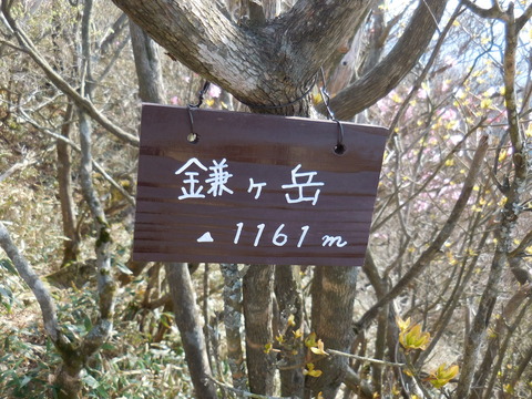 DSCN0535