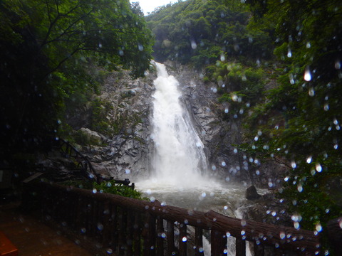 P6250088