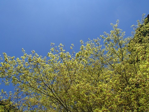2017-04-24-13-00-44