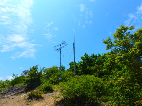 P6210029